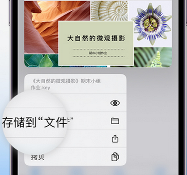 工业园区apple维修中心分享iPhone文件应用中存储和找到下载文件