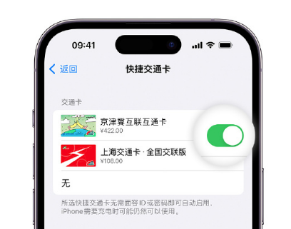 工业园区apple维修点分享iPhone上更换Apple Pay快捷交通卡手绘卡面 