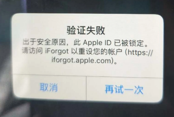 工业园区iPhone维修分享iPhone上正常登录或使用AppleID怎么办 