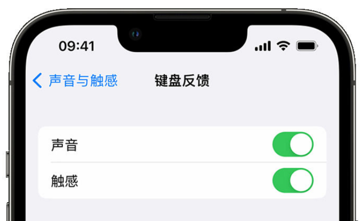 工业园区苹果手机维修分享iPhone 14触感键盘使用方法 