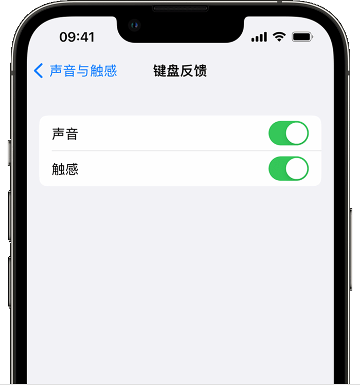 工业园区苹果14维修店分享如何在 iPhone 14 机型中使用触感键盘 