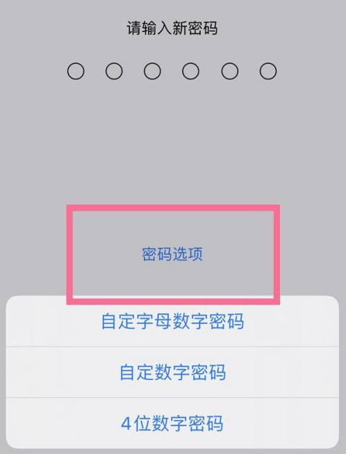 工业园区苹果14维修分享iPhone 14plus设置密码的方法 