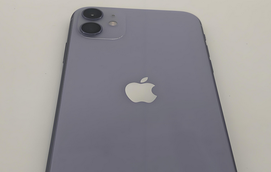 工业园区苹果11系统维修分享iPhone11手机系统崩溃无法开机如何解决 